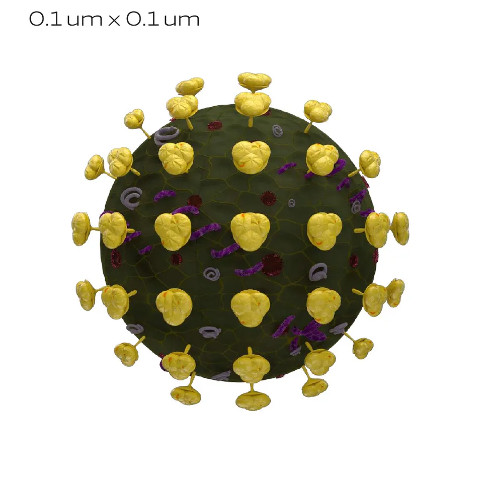 Eames Revolution virus model