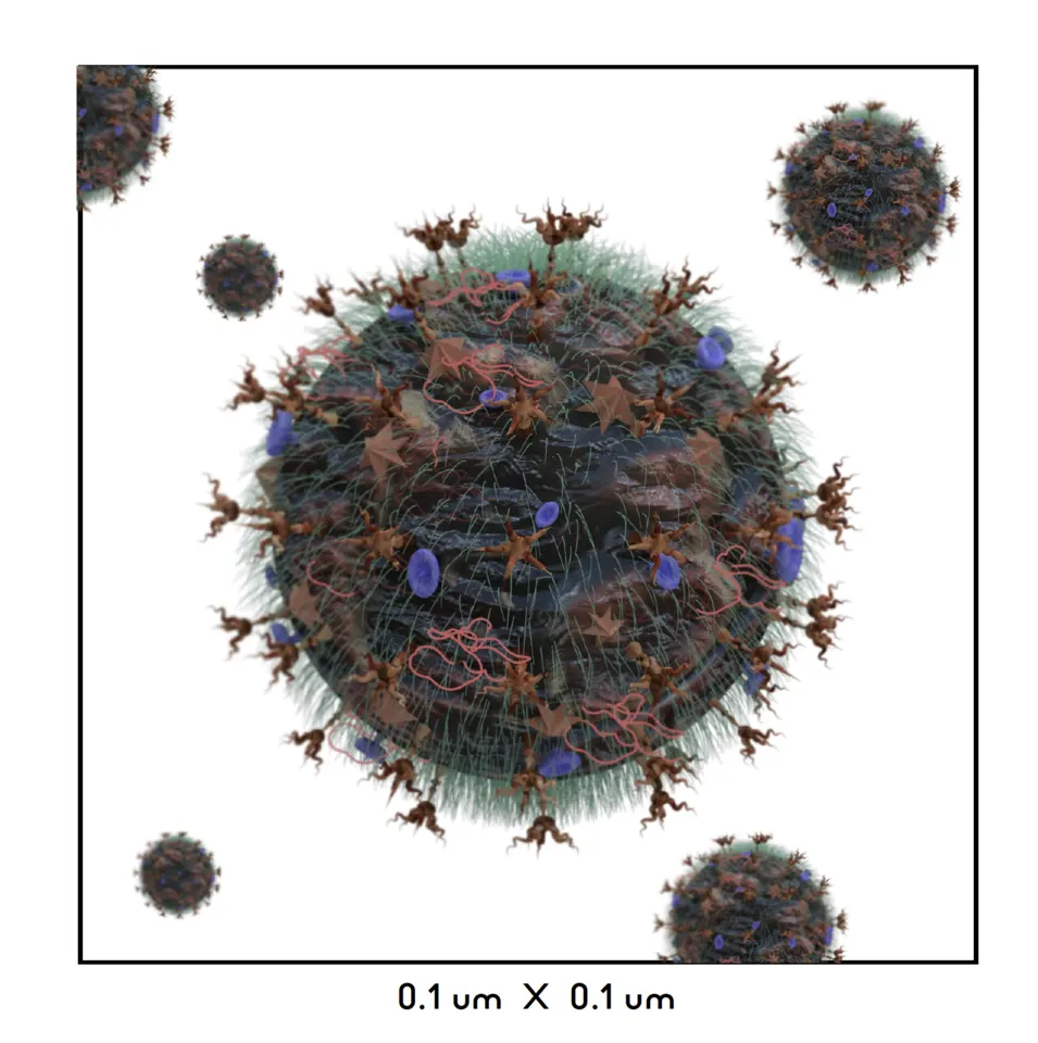 Pandemic Powers of Ten virus model