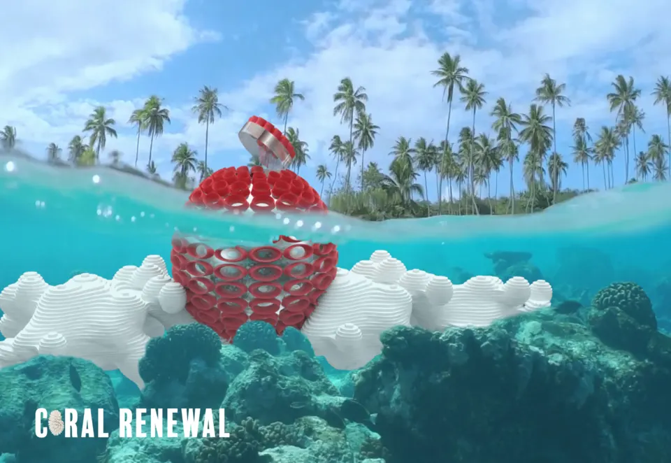 Coral hero rendering