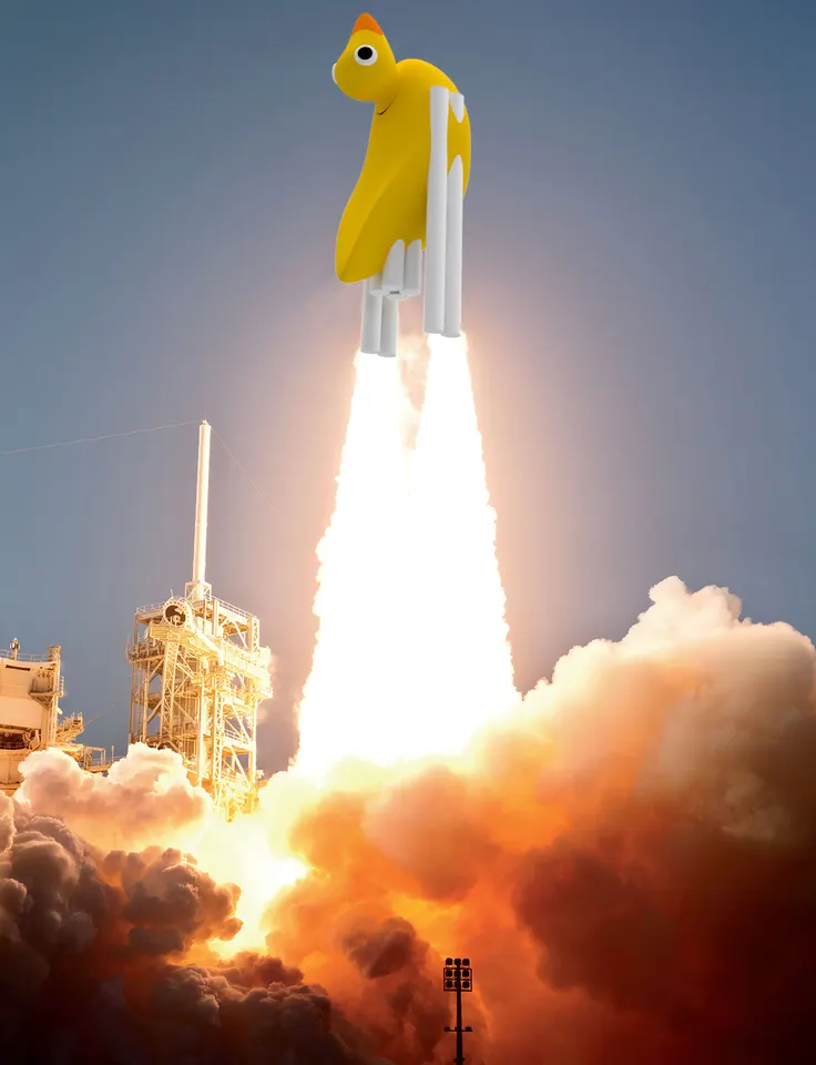 Rocket duck