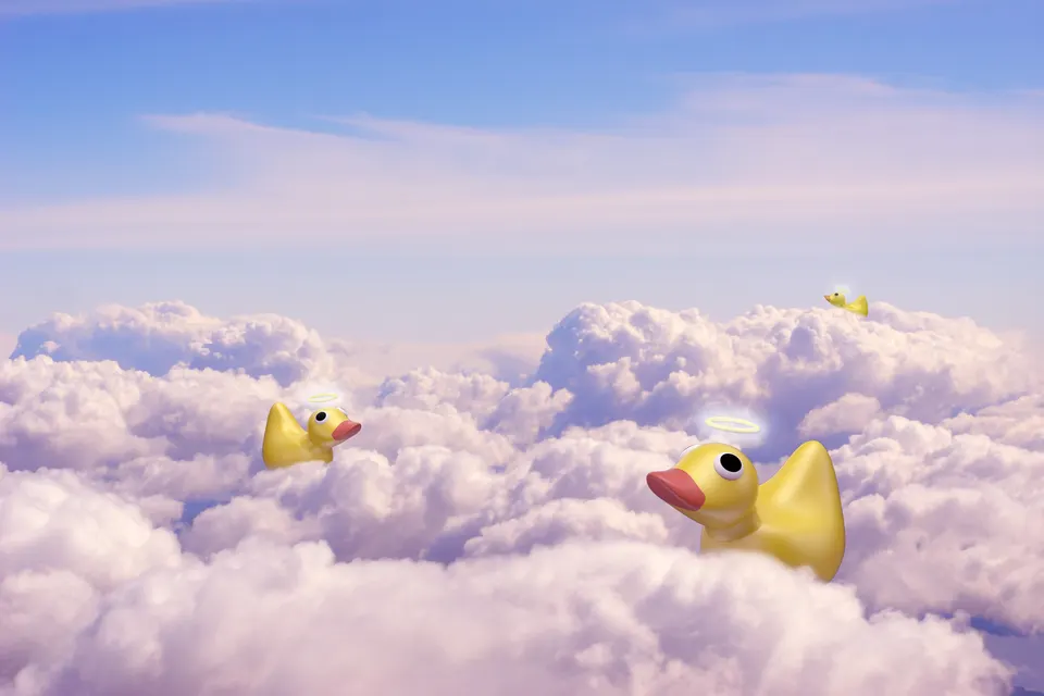 Ducks above the clouds