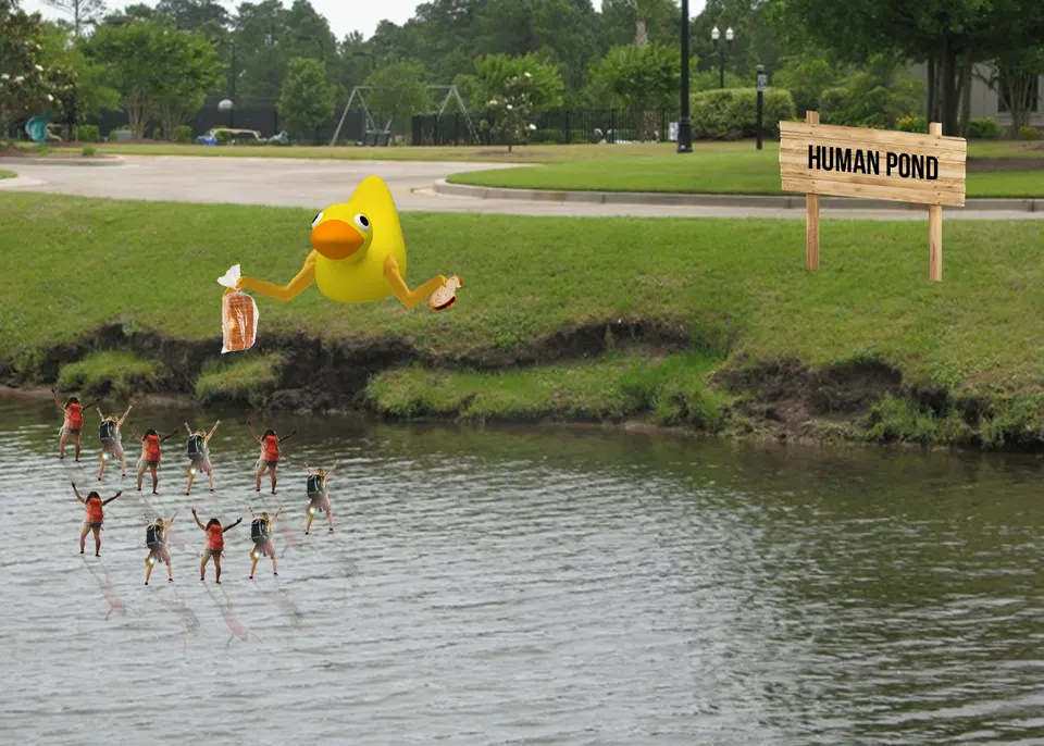 Human pond duck
