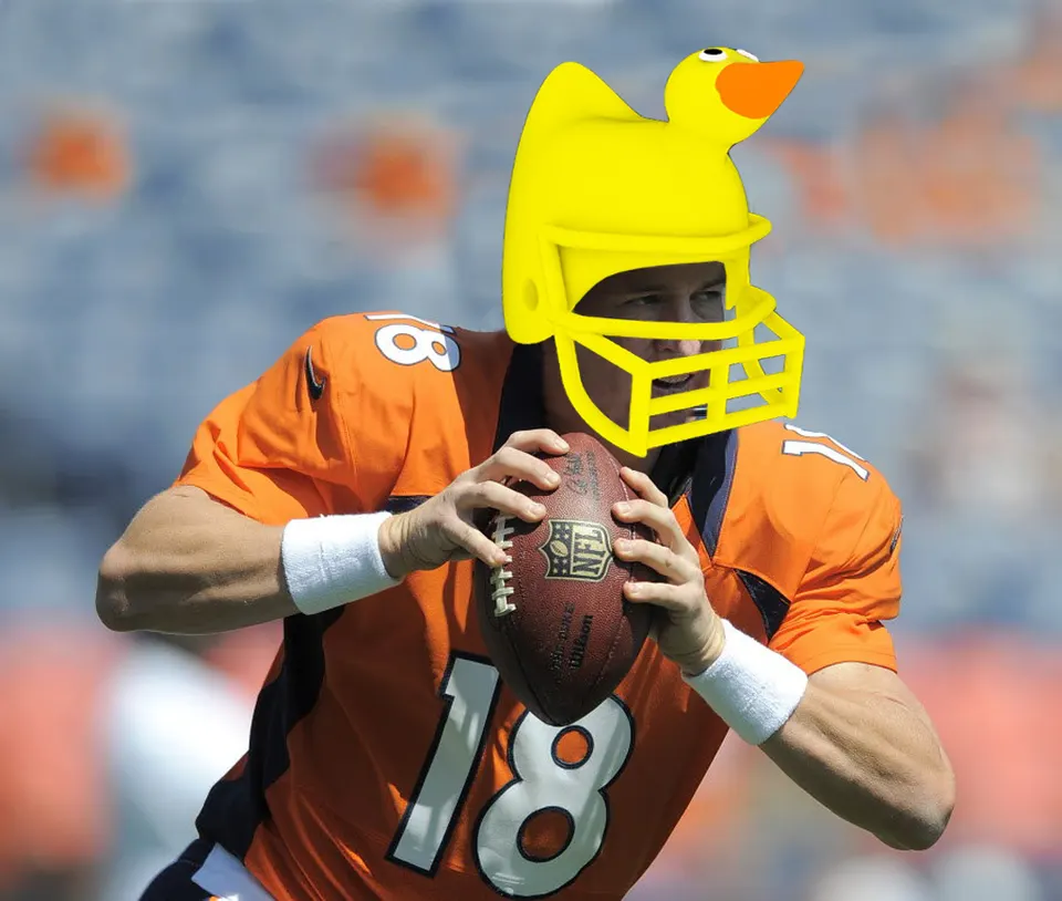 Football duck