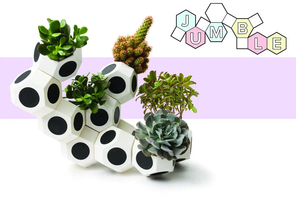 Jumble assembled planter