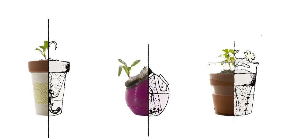 Vegi prototype development