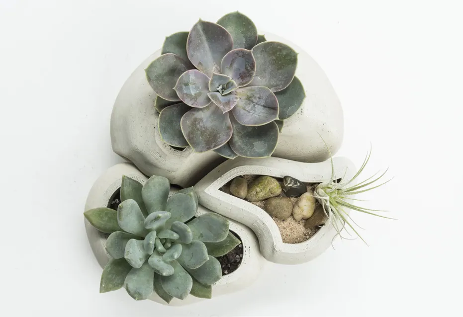 Rypl planters