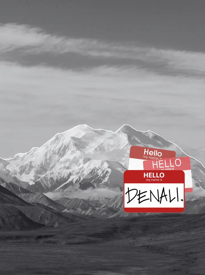 Public lands identity poster