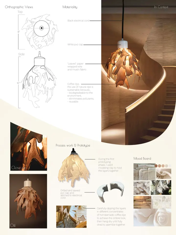 Frond process and development