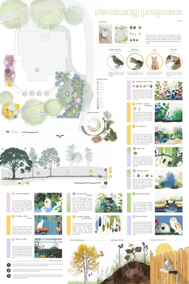 Urban Rewilding Studio, backyard species network