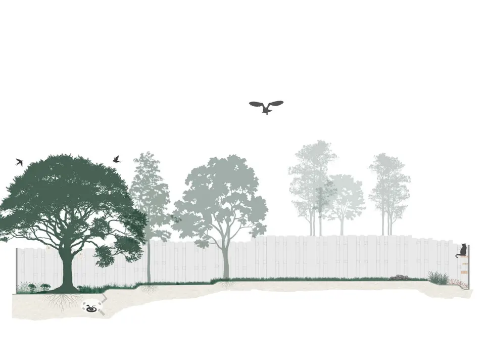 Site section and habitat layers
