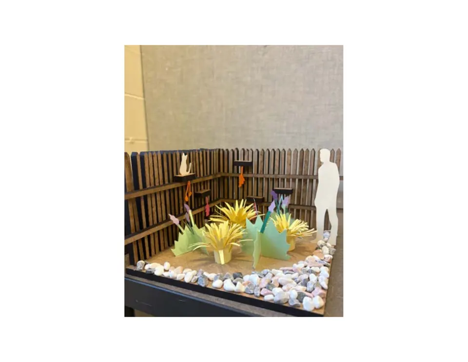 Cat oasis physical model