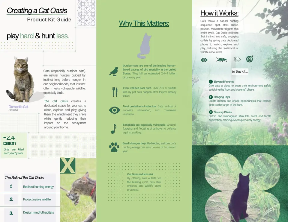 Cat oasis product guide
