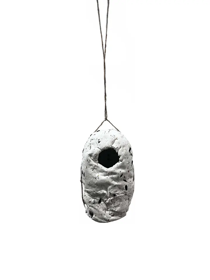 Mycelium birdhouse lifecycle