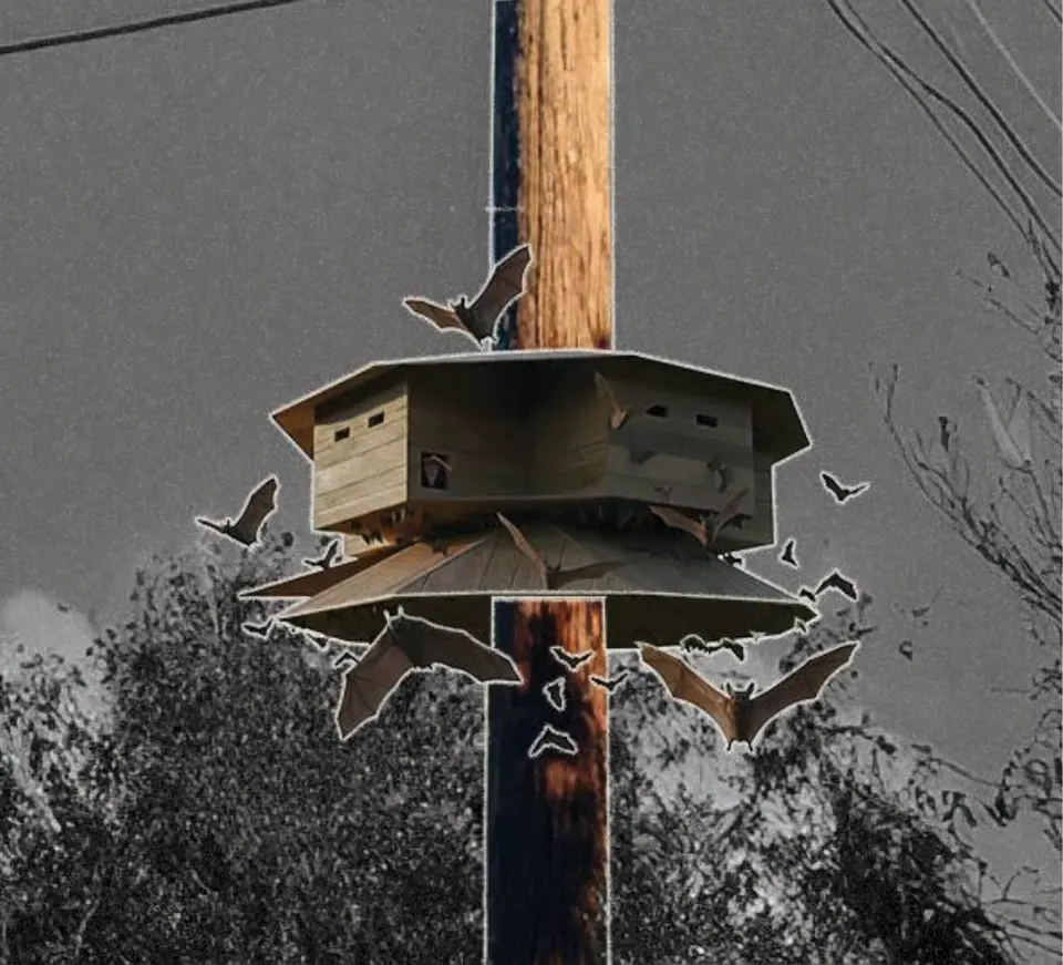 Bat pavilion prototype